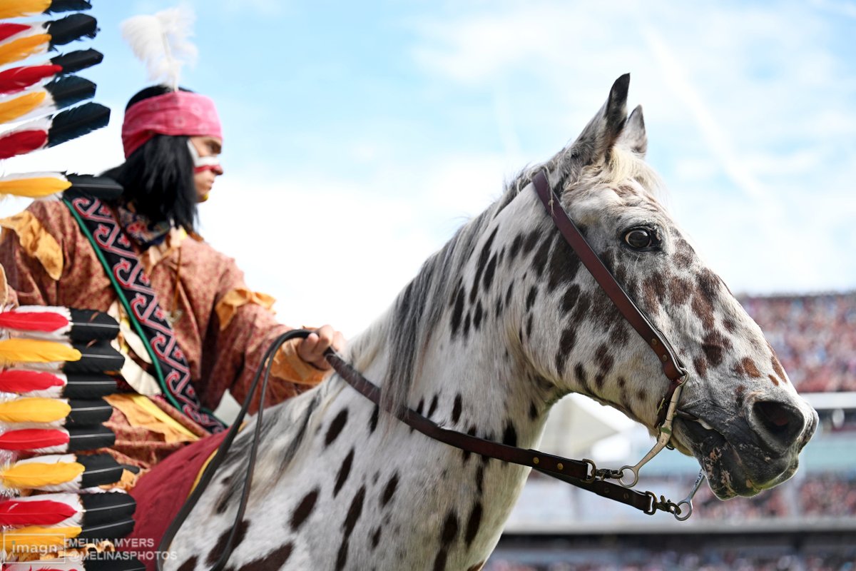 melinasphotos's tweet photo. Up close with the beautiful tradition of Osceola and Renegade📸 https://t.co/Pa6DEeecLM