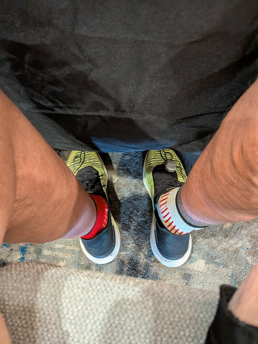 joe_ironman's tweet photo. Scruffy showing me sympathy since I spent most of the day in Kona ..
#hawaii #bigisland
#xoskinusa
#hawaiiultra #teamfireball
Noxgear lighted vests for you and your pets! https://t.co/gMUYlIrtug https://t.co/Yh1Jed8cfU