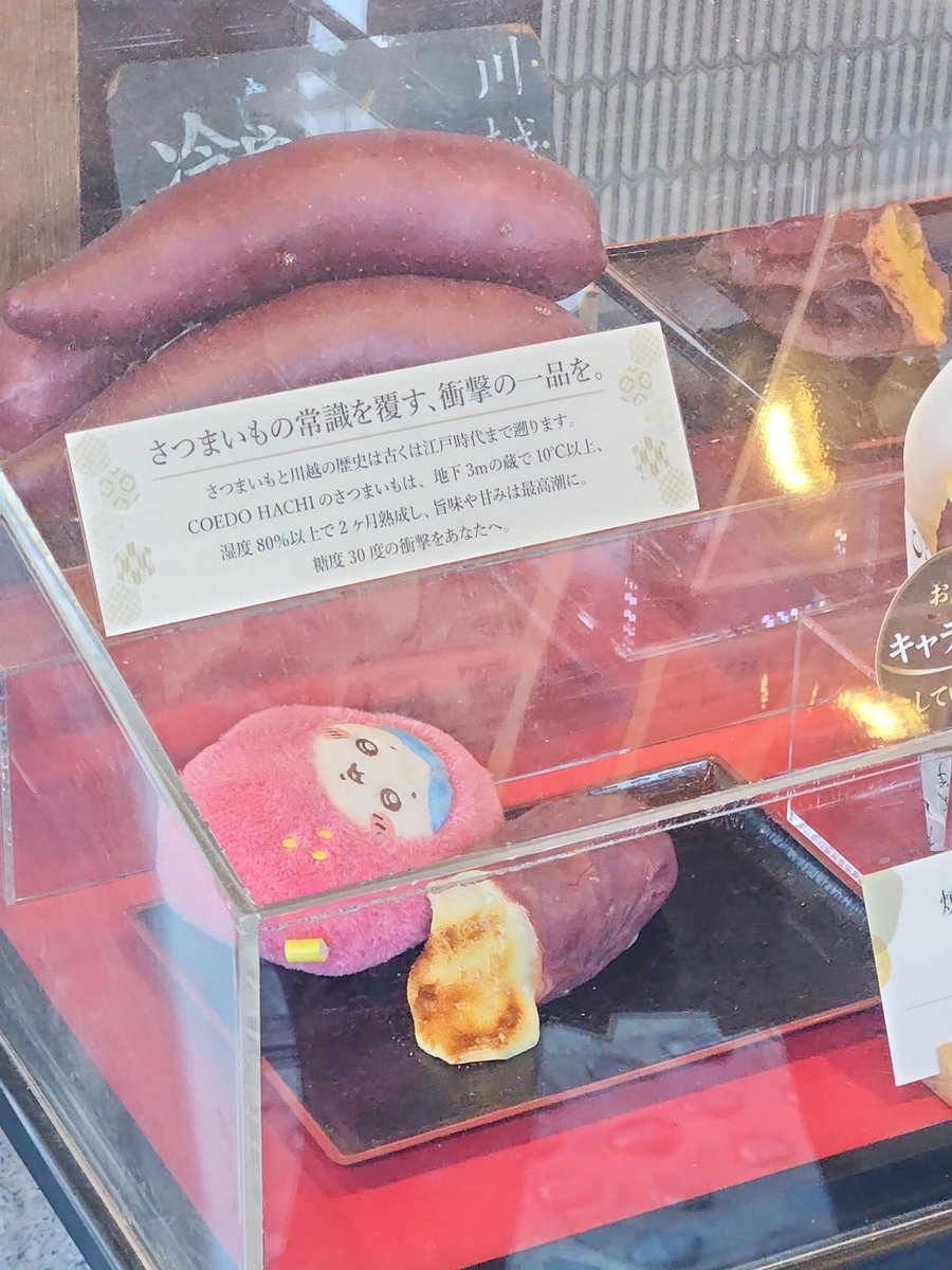 hatarakudoll's tweet photo. 焼き芋屋にて　さつまいもの常識を覆すため奮闘するハチワレ(芋) https://t.co/5Wg6kReRC8