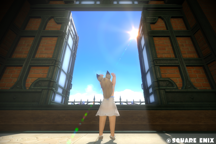 mill_reef_'s tweet photo. おはララ！…🐹💤 https://t.co/khIuo01mZk