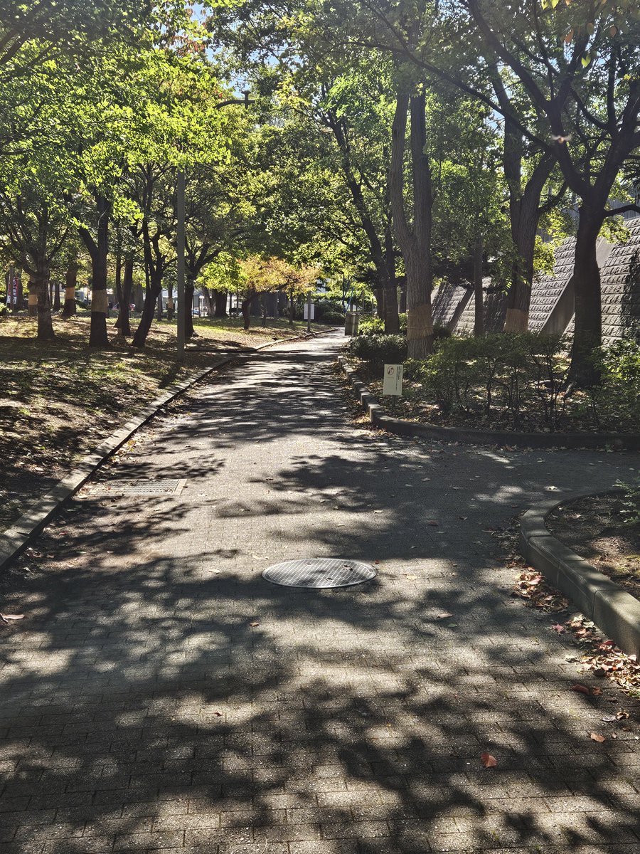 owen_jr's tweet photo. ハコスポはキレイなジョギングコースが整備されているので、軽く朝の運動🚶‍♂️してきます
#ムキムキジンギスカン2627 https://t.co/2uCEHuD8ey