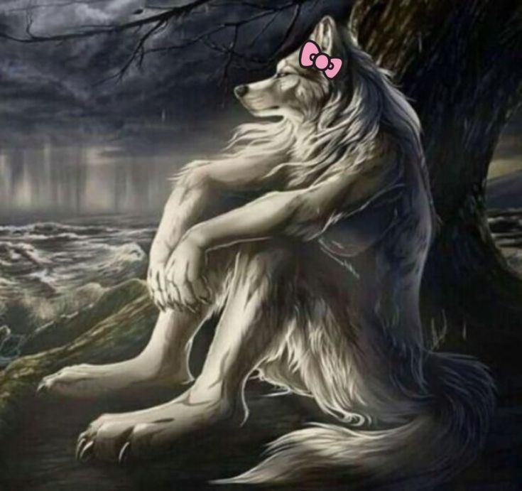 maybehurtme_'s tweet photo. pensando aqui que minha mulher não quis me ver hoje https://t.co/QsoKNcfkEj