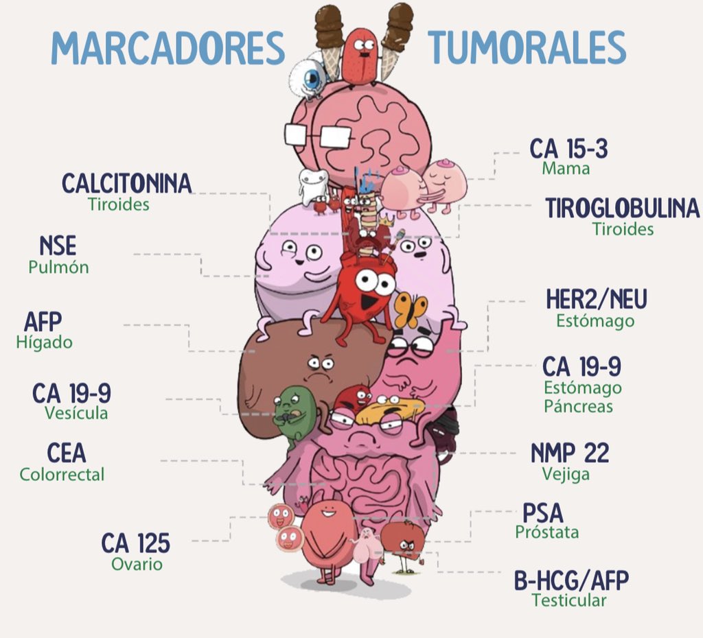 ENARM_intensivo's tweet photo. 💢MARCADORES TUMORALES

#ENARM_INTENSIVO #ESTUDIA_MEDICINA https://t.co/TzkBzpGGMq