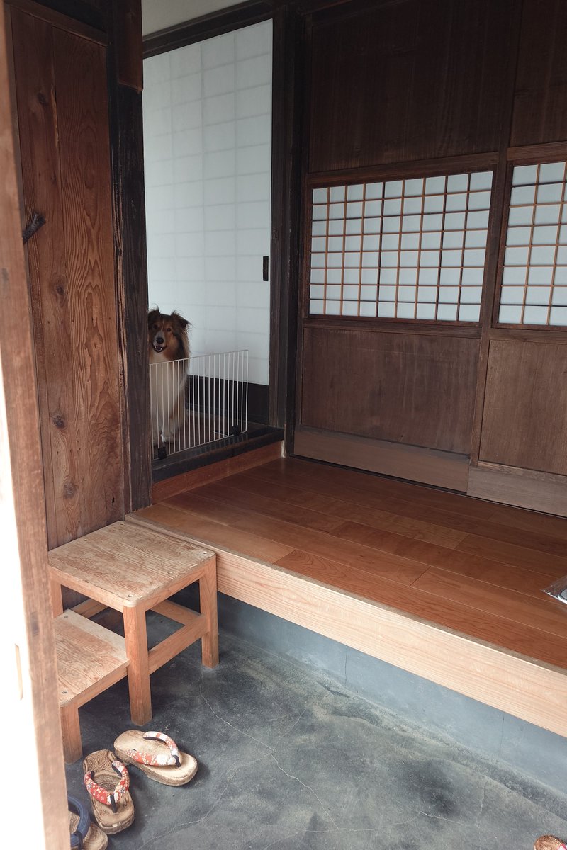 monjro's tweet photo. 「田舎のおばあちゃんちに遊びに行ったらワンちゃんが迎えに出てきてくれた」ごっこ https://t.co/wNhSjMSkAN