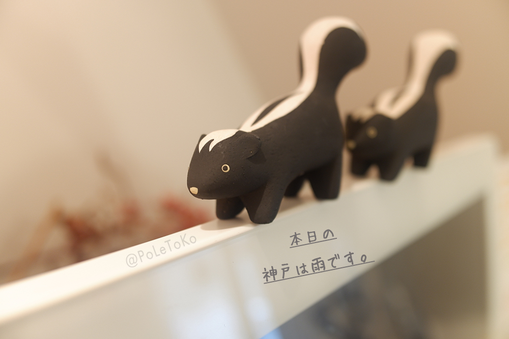PoLeToKo's tweet photo. こんにちは
本日の神戸は雨がたくさん降っています。
季節の変わり目ですね
本日も、１８時半まで営業しています
ぜひお店にお立ち寄りくださいませ＾＾

ぽれぽれ動物/スカンク　1,199円(税込)
https://t.co/CtVx2a7IzT https://t.co/wGjz42669j