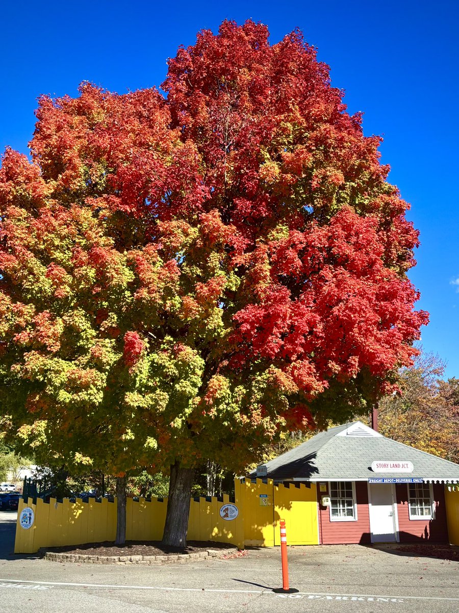 RonFilipkowski's tweet photo. 4 pics from today’s western Maine and NH fall foliage road trip in the White Mountains. https://t.co/CoDNiSkHp7