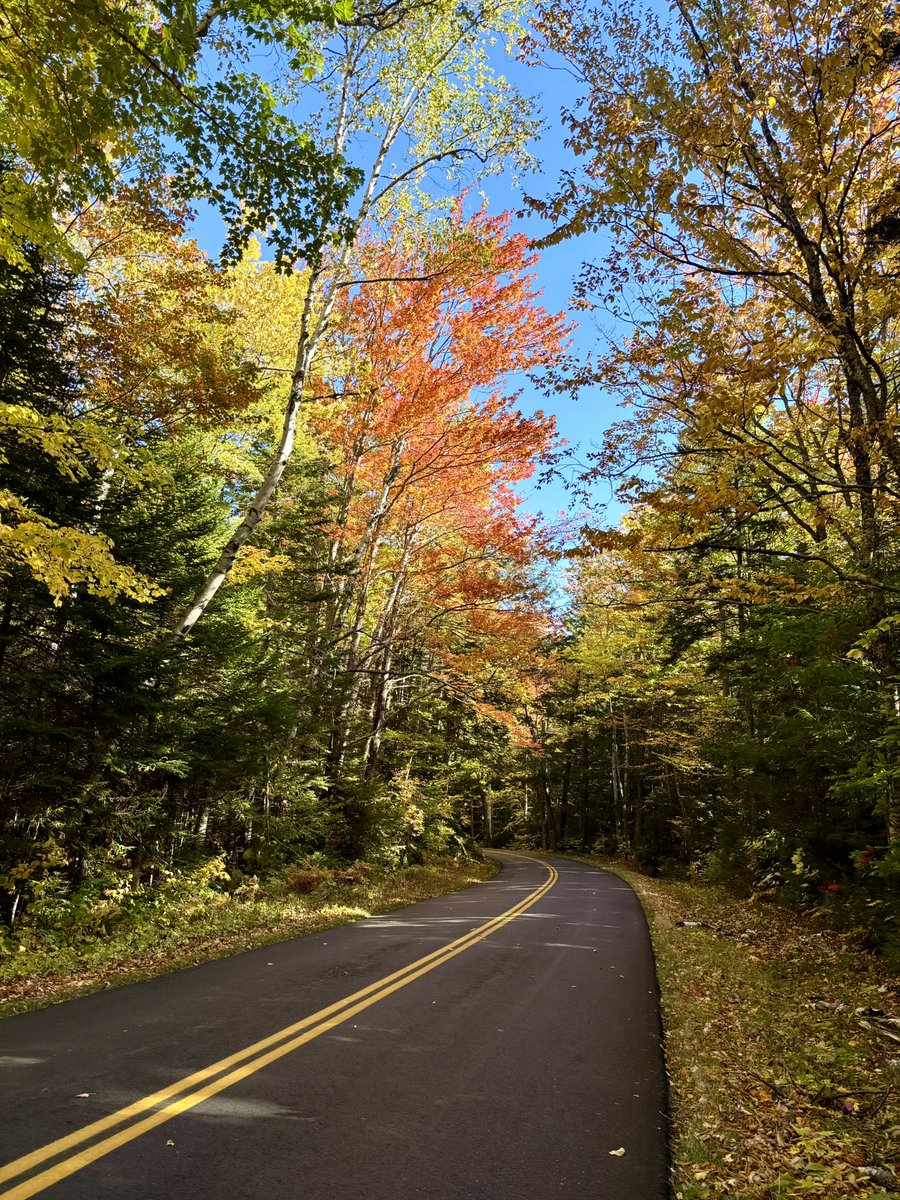 RonFilipkowski's tweet photo. 4 pics from today’s western Maine and NH fall foliage road trip in the White Mountains. https://t.co/CoDNiSkHp7
