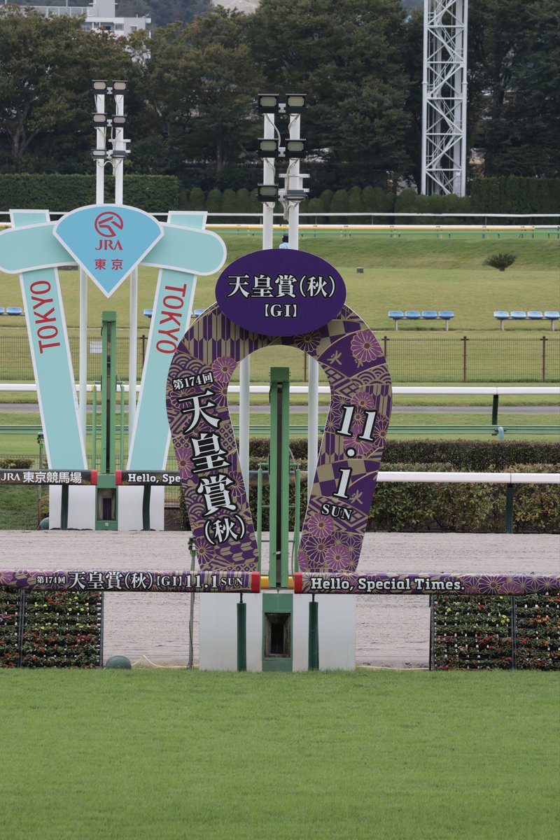 SK__Stables's tweet photo. 本日は毎日王冠
既にゴール板は天皇賞仕様に🧲 https://t.co/F3LP6UJRok