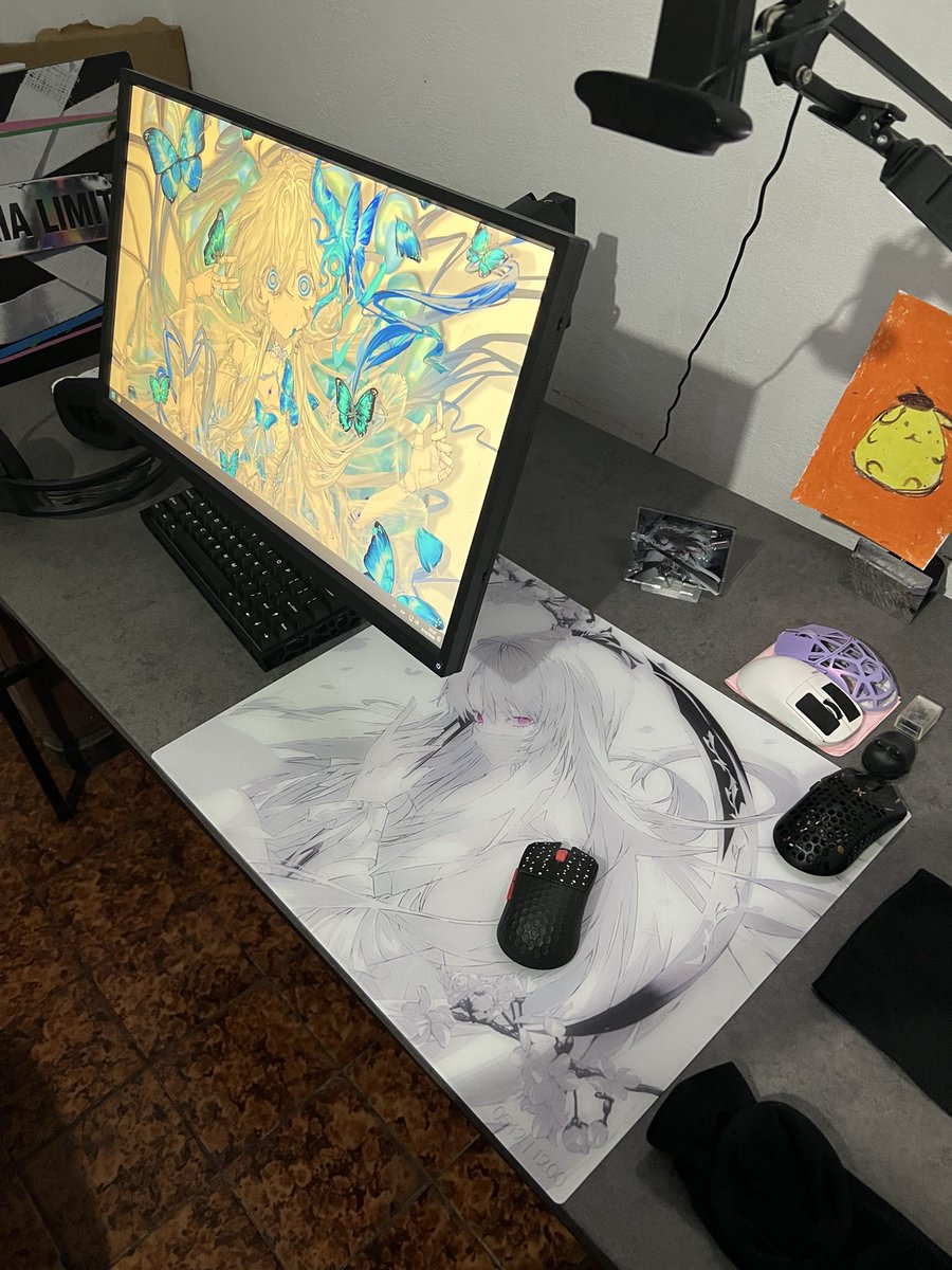 sayago179's tweet photo. In love with the state of my setup https://t.co/OVo2AGC4uL
