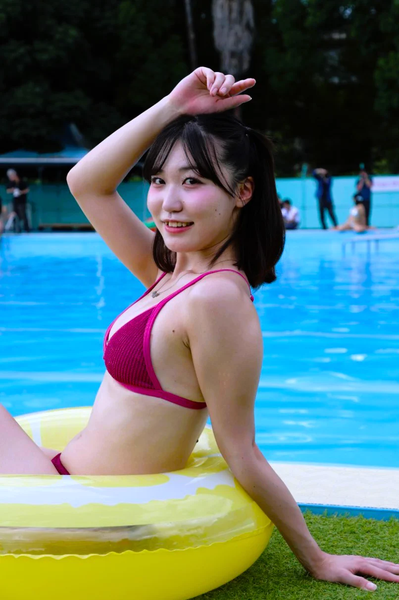 宝船 鼈甲 ケースなし summerへ とくCHAN on X: 