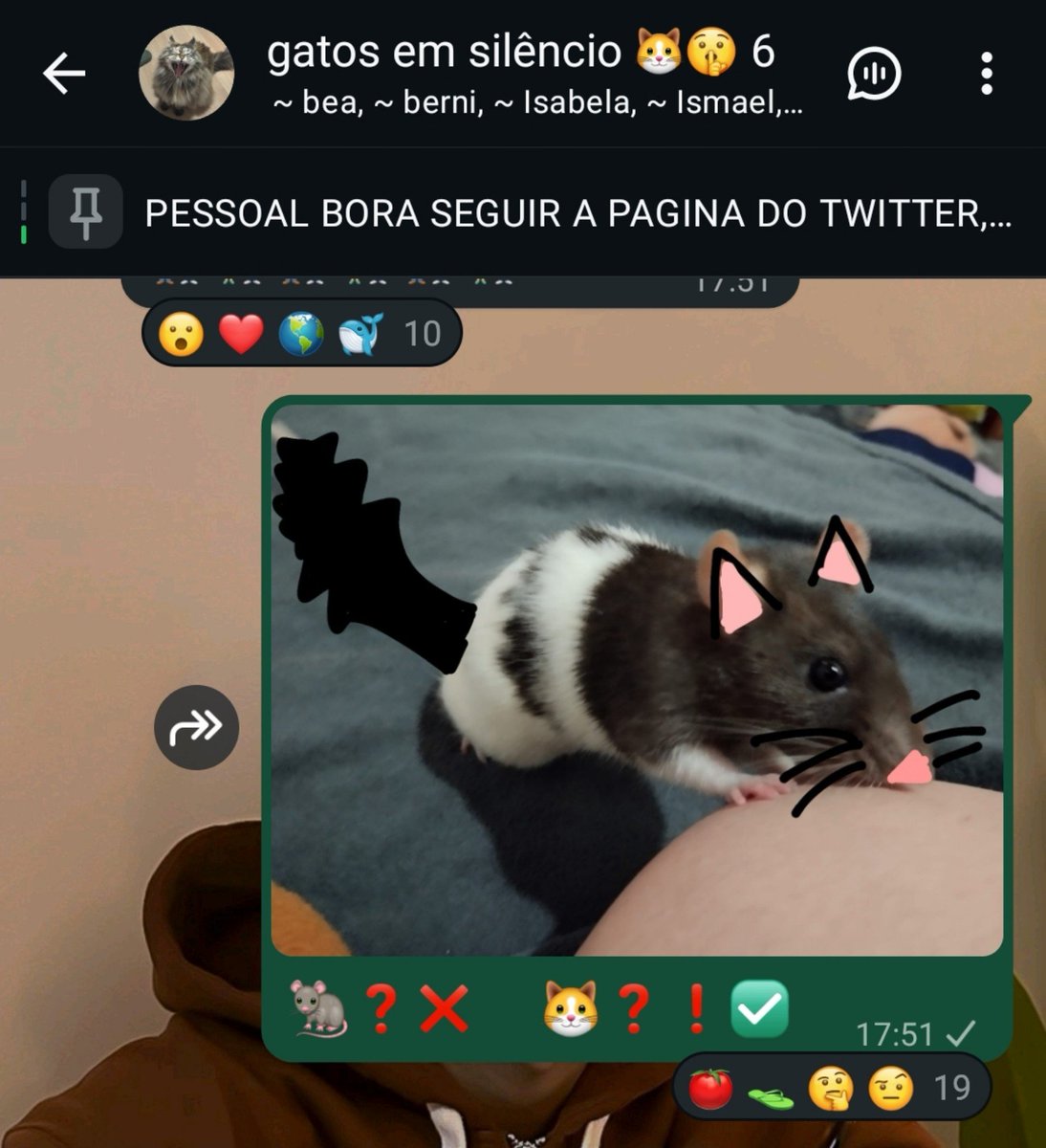 horlynk's tweet photo. fui postar foto do meu gato e ameaçaram ele de morte ISSO NÃO VAI FICAR ASSIM https://t.co/GbLnpzMY5H