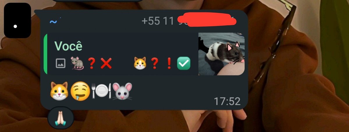 horlynk's tweet photo. fui postar foto do meu gato e ameaçaram ele de morte ISSO NÃO VAI FICAR ASSIM https://t.co/GbLnpzMY5H