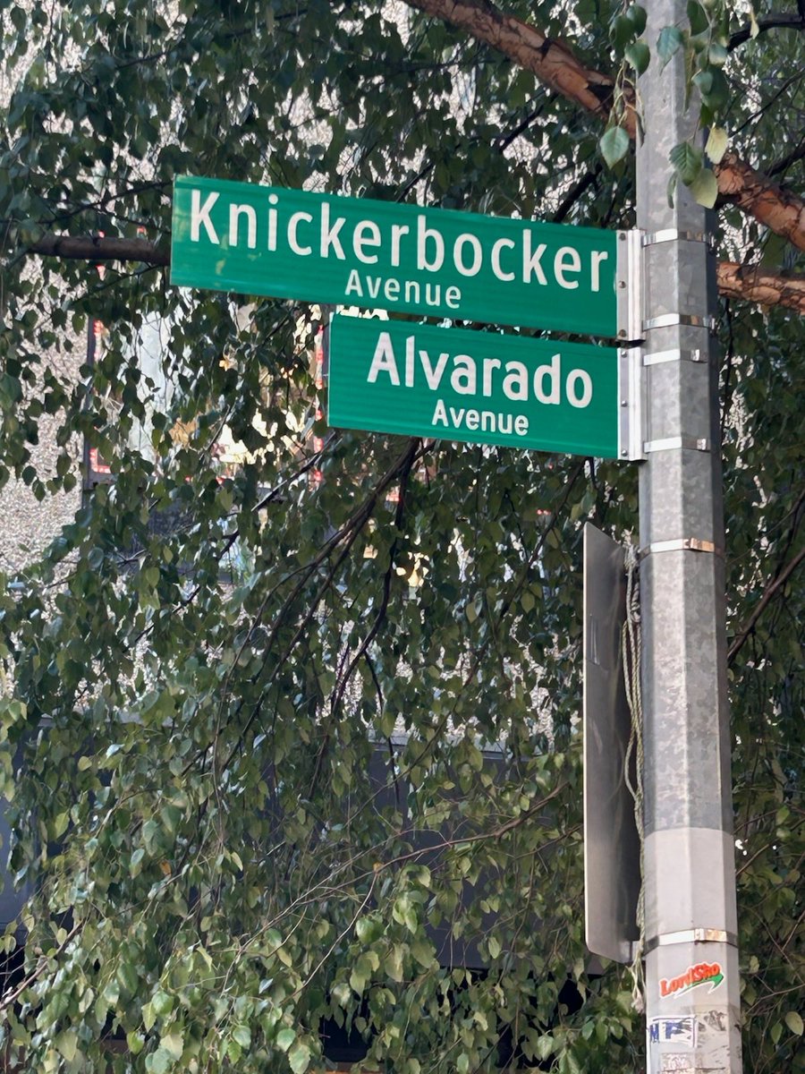 A street-corner signpost with two green street signs, surrounded by leafy tree branches. There is text on the signs and small stickers on the pole.