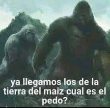LaTayMexicana's tweet photo. Amo a ver a Guillermo del Toro y Alfonso Cuarón uniéndose para defender a Iñarritu y al Chivo Lubezki https://t.co/g9xSgq8Nee