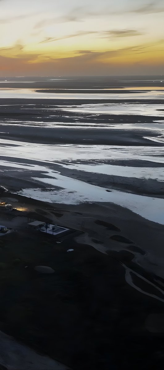 elonmusk tweet picture