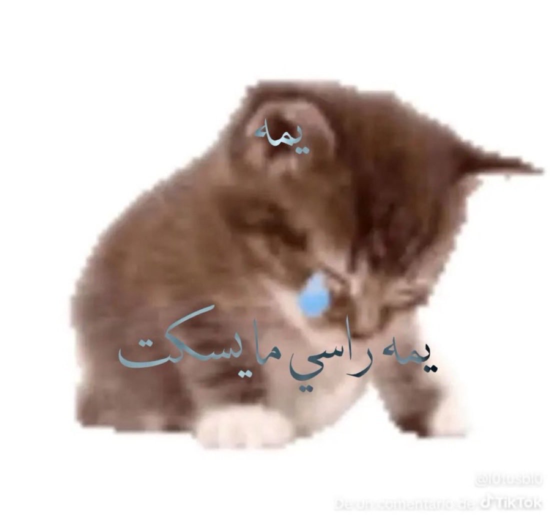 tuliprav0ll_'s tweet photo. تعبت https://t.co/PF7EQPEbTy