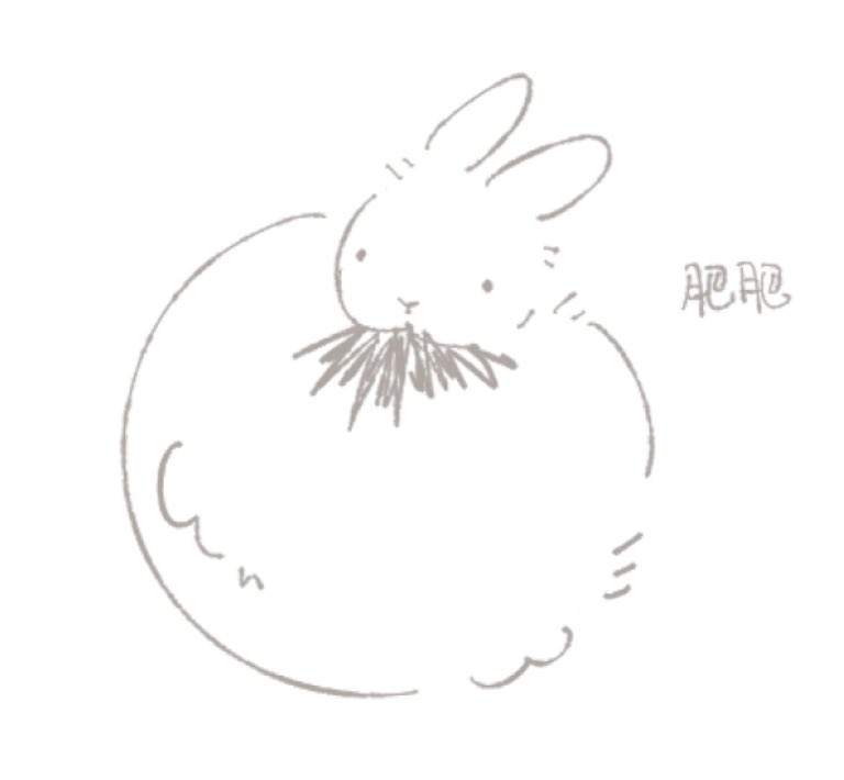 islet2333's tweet photo. （no）fat bunny https://t.co/nOPFK0DBH6