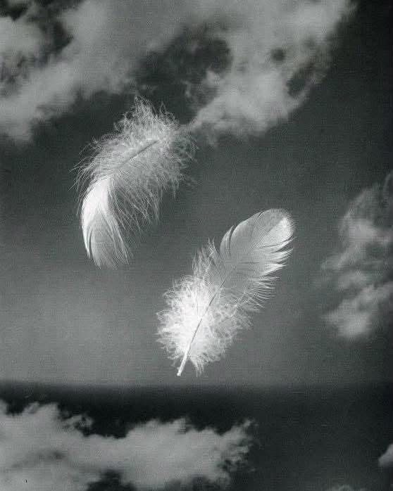 MajaSenda's tweet photo. ©Andreas Feininger https://t.co/7Fi9k0zURd