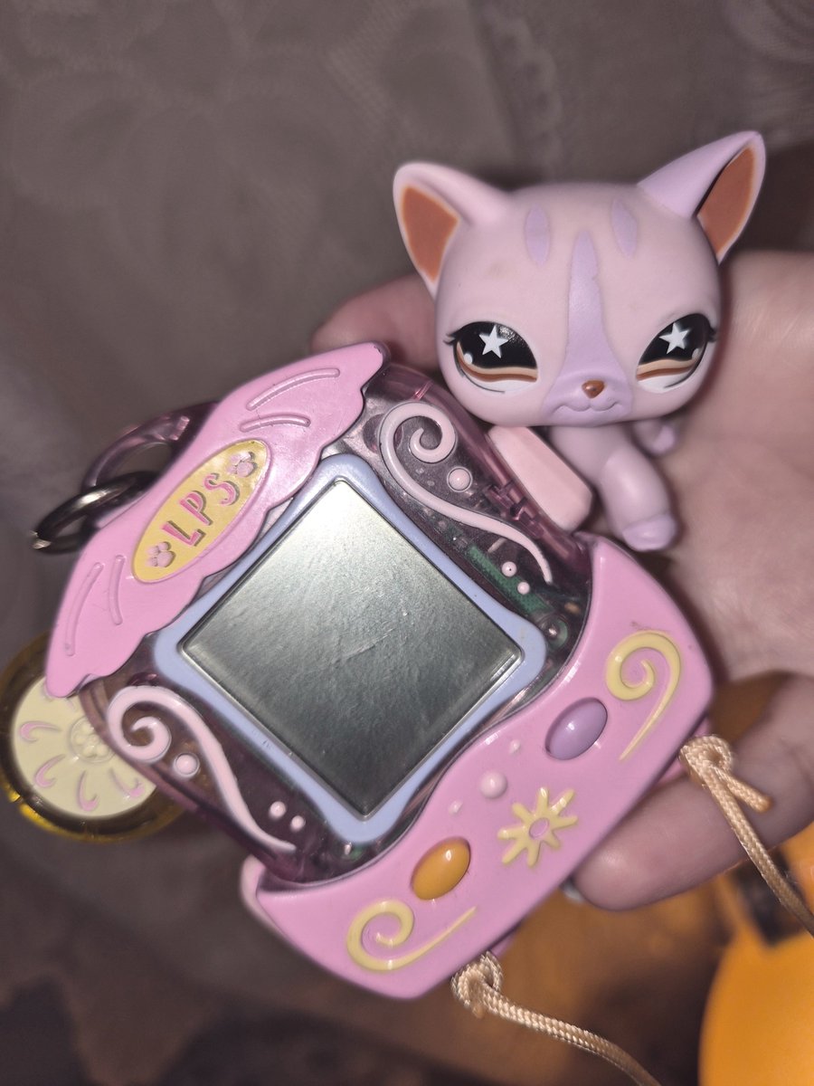 normalwoman2000's tweet photo. Ring ring https://t.co/Z4badqVoqz