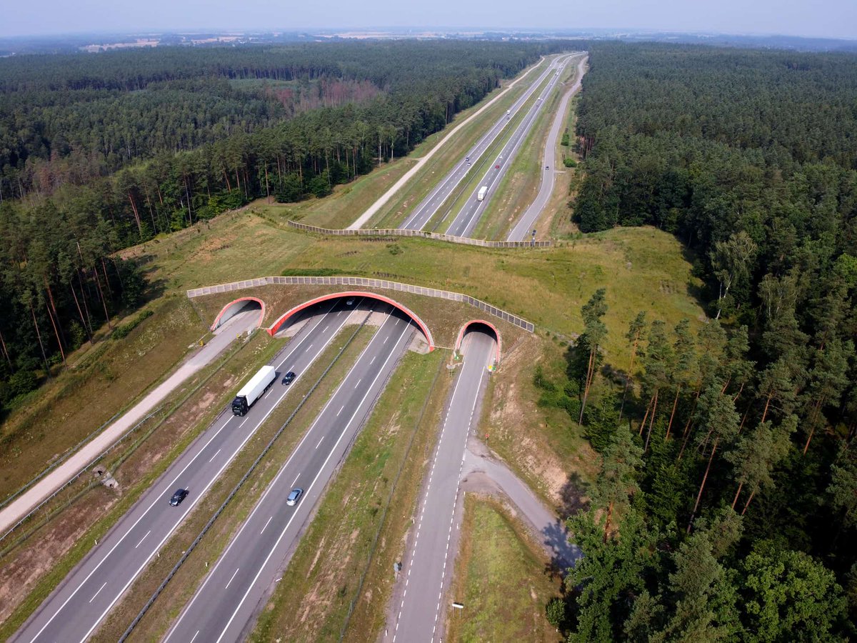 adgirlMM's tweet photo. Here's some perspective.
Joe Biden's Infrastructure Act included funding for the development of wildlife crossings over major interstates in 29 states.
These crossings protect migrating wildlife and save human lives by reducing animal-vehicle collisions. $80 million was just appropriated this year to build more crossings.
Meanwhile...
The Trump administration has spent $1.8 billion in taxpayer dollars on vanity projects and botched landmark makeover projects in Washington, D.C.
Not including the $20 million he's illegally spending on self-aggrandizing propaganda ads for the midterms.
I want my tax dollars going to more wildlife crossings.
And that's why I'm voting with vengeance. #loathehard