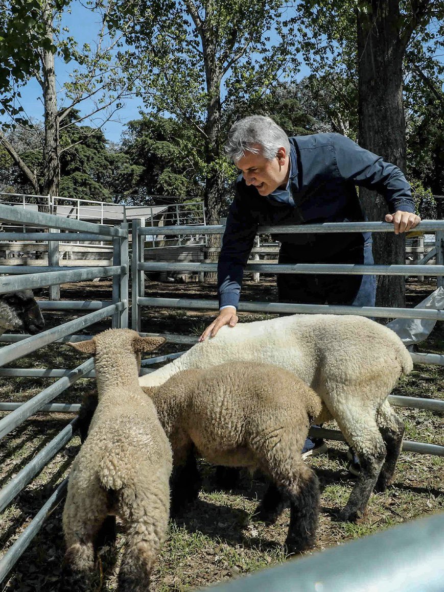 MartinLlaryora's tweet photo. EL CAMPO PRODUCE, EL INTERIOR CRECE

En #AdeliaMaría, departamento Río Cuarto, junto a nuestros productores y a las instituciones agropecuarias, reafirmamos una convicción: el Modelo Córdoba se construye trabajando juntos, defendiendo a quienes producen y mirando siempre hacia adelante.

Fue un gusto participar de la 37ª Expo Rural de esta querida localidad, una muestra del enorme potencial productivo que tiene nuestra provincia. Queremos un campo que produzca cada vez más, pero también que pueda transformar esa producción en origen, agregar valor, generar #empleo y mejorar la competitividad y la rentabilidad de nuestros productores.

Para lograrlo, necesitamos decisiones nacionales que acompañen al interior productivo. Por eso seguimos reclamando la eliminación de las retenciones y una nueva Ley de #Biocombustibles que nos permita industrializar nuestra producción y transformar el trabajo y la riqueza que genera el campo en más empleo y oportunidades para nuestros pueblos.

En #Córdoba vamos a seguir haciendo nuestra parte. Porque no hay crecimiento sin infraestructura ni desarrollo sin caminos, gas, energía, educación, financiamiento e inversión. Esas son las herramientas que necesita el sector privado para producir, invertir y generar trabajo.

Y lo hacemos articulando con las entidades agropecuarias, escuchando a quienes producen y sosteniendo políticas que fortalezcan nuestras economías regionales y el desarrollo de cada comunidad.

Porque cuando al campo le va bien, al interior le va bien. Y cuando crece el interior, crece Córdoba.

#HacerParaCrecer