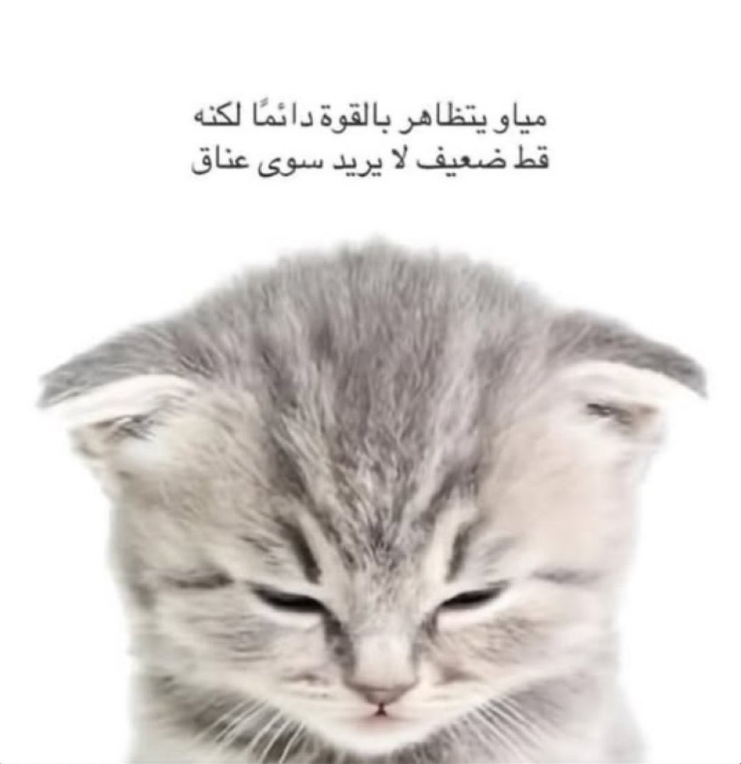debrissssss's tweet photo. https://t.co/QLB6gXmqM2