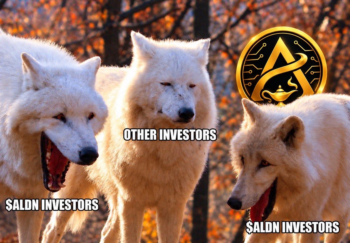 CryptoScouymsk's tweet photo. @cloudz Consistency really changes everything. Keep showing up and keep building. $ALDN is taking that same approach with real world commerce, rewards and community.

https://t.co/fVjP1YnTfY https://t.co/I1b6iRu7Z6