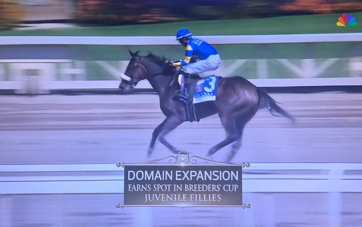 Sploots's tweet photo. TIL theres a horse named "domain expansion" and she just won the oak leaf stakes (G2) so now you all can watch her compete in the breeders cup juvenile fillies 👀👀👀 https://t.co/mVURMWjxVX