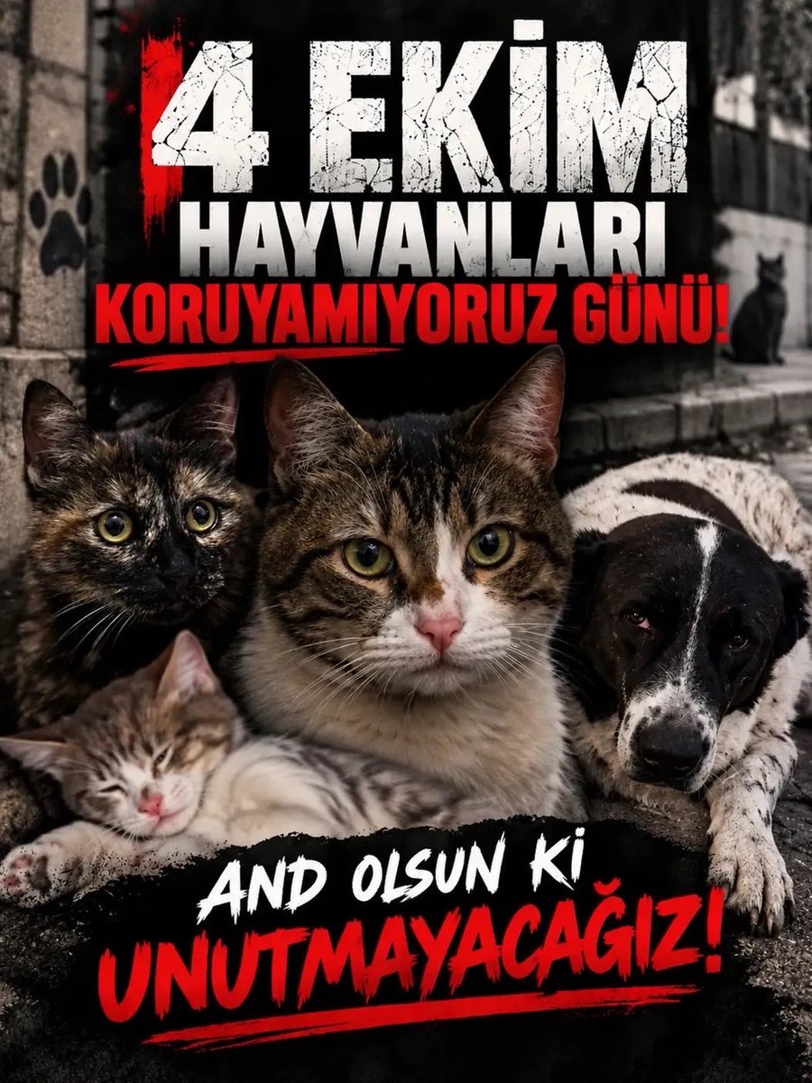 Toktiktaktik's tweet photo. Şu masumların canını BÜYÜ - TILSIM gibi amaçlarla yakan, buna vesile olan kim varsa; HİÇBİR DİLEĞİNİZ GERÇEKLEŞMESİN, AMAÇLARINIZ HEP TERSİNE TEPSİN diliyorum. Yerlerin ve göklerin tüm LANETİ ve UĞURSUZLUĞU sizi bulsun!!!

#4EkimiKutlamıyoruz https://t.co/0OYucn5ftD