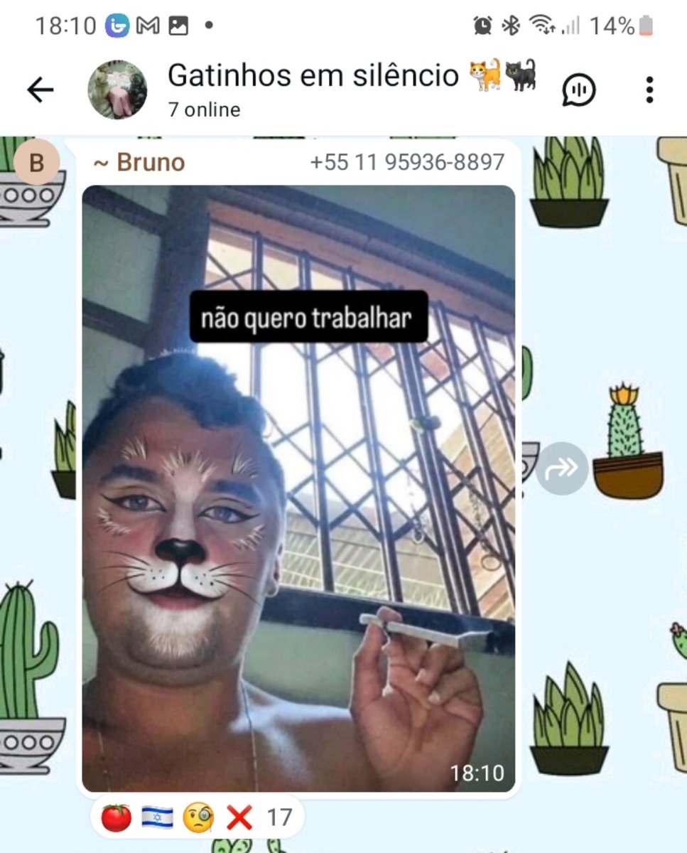 arsnessan's tweet photo. Ai meu deus oq é isso https://t.co/4AG8vtWpZl