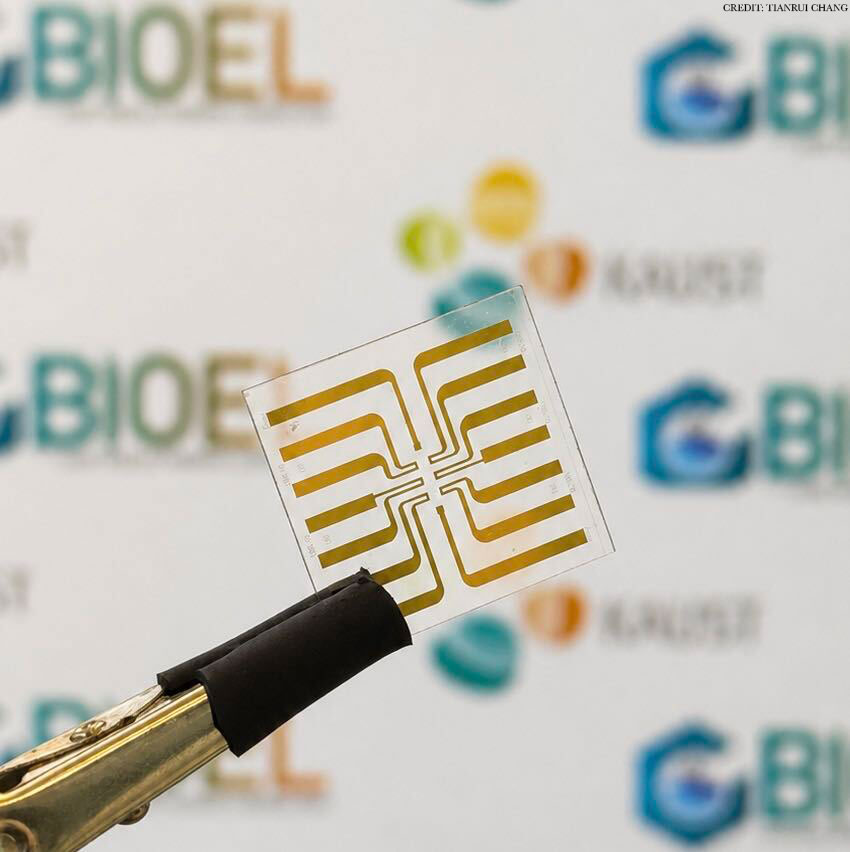 ScienceAdvances's tweet photo. This electronic chip may enable earlier prediction of Parkinson’s disease by detecting elevated levels of alpha-synuclein in the blood. https://t.co/CjBmLThHGa https://t.co/V2YaDBNVzv