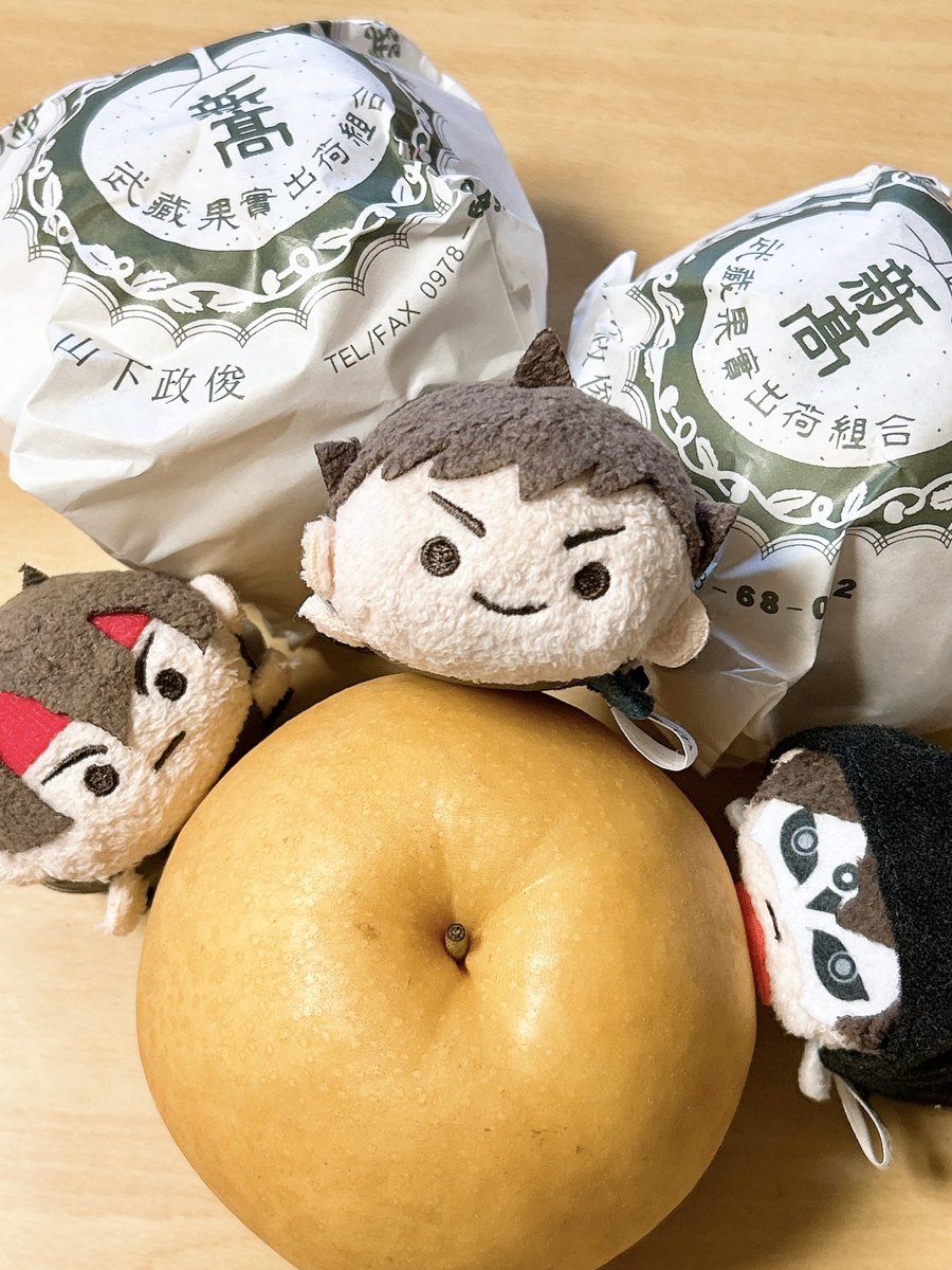hinaOwOphoto's tweet photo. とても立派な梨をいただいたよ https://t.co/BTs76TsgL0