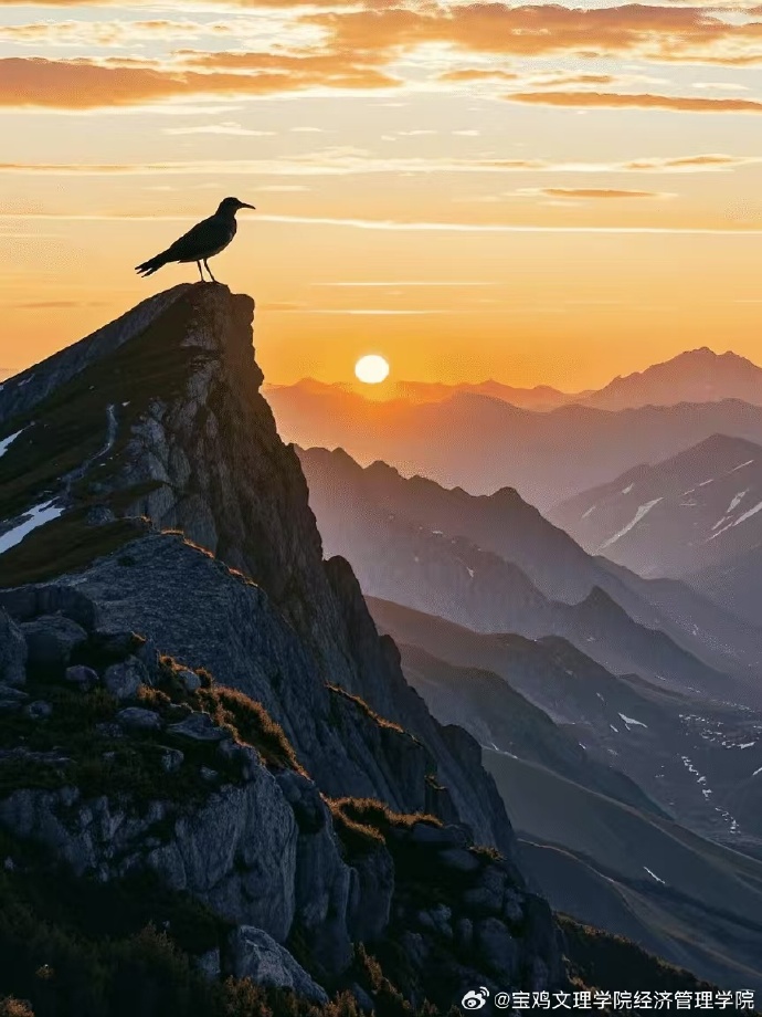 muhthohit525's tweet photo. Today I took a bus to the mountain pass, the sun was setting behind the scorched hills, and a little bird perched on the roadside fence, looking so peaceful. https://t.co/rZd1vCHGfq