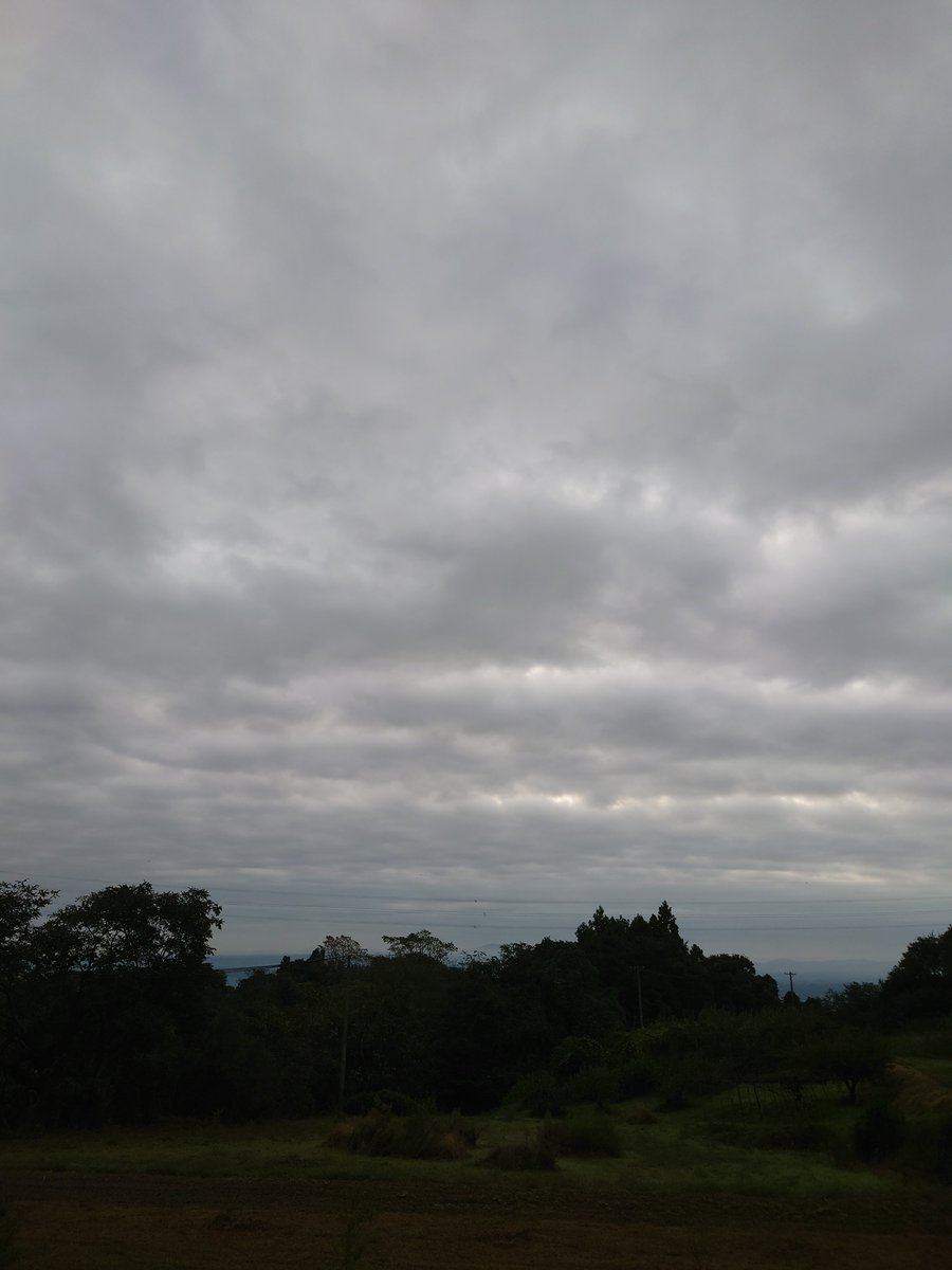 CBR_650_R's tweet photo. おはようございます☁☁気温１２℃位肌寒いな😖今日は今シーズン最後の消毒の予定・・・今日も頑張っペない（笑）＃福島県伊達市　＃きゅうり　段々育たなくなって来た・・今日　＃バイクツーリング　＃磐梯吾妻スカイライン　何時ごろに紅葉見頃になるんだべない https://t.co/iLRaAQrBjy