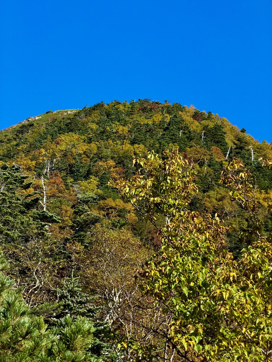 yshsohr1's tweet photo. 甲斐駒ヶ岳に行ってきました。
久しぶりの晴天で最高でした！紅葉も始まってました。 https://t.co/EG4eKsaCat