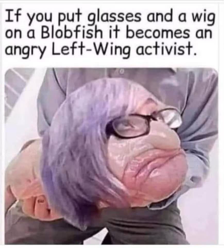 absolutememes7's tweet photo. https://t.co/OgTqpf0uMW