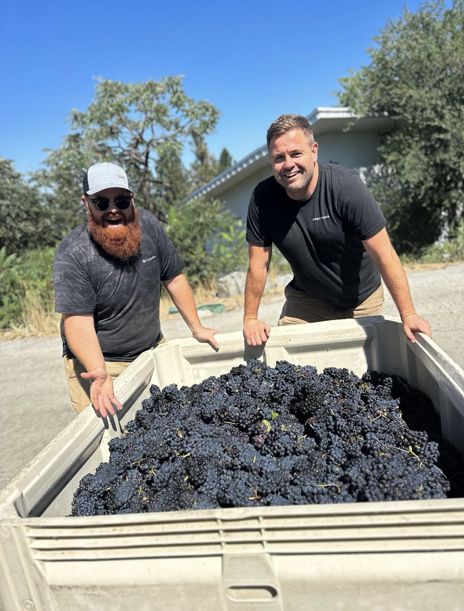 winesyndicate's tweet photo. That’s a wrap on another beautiful harvest at @tantaluswine 🍇

Our friends in East Kelowna picked the last of their estate fruit this week, bringing another growing season to a close.
After months in the vineyard, the fruit is in and the magic continues in the cellar 🥂 Cheers! https://t.co/BGrEIt3GvR