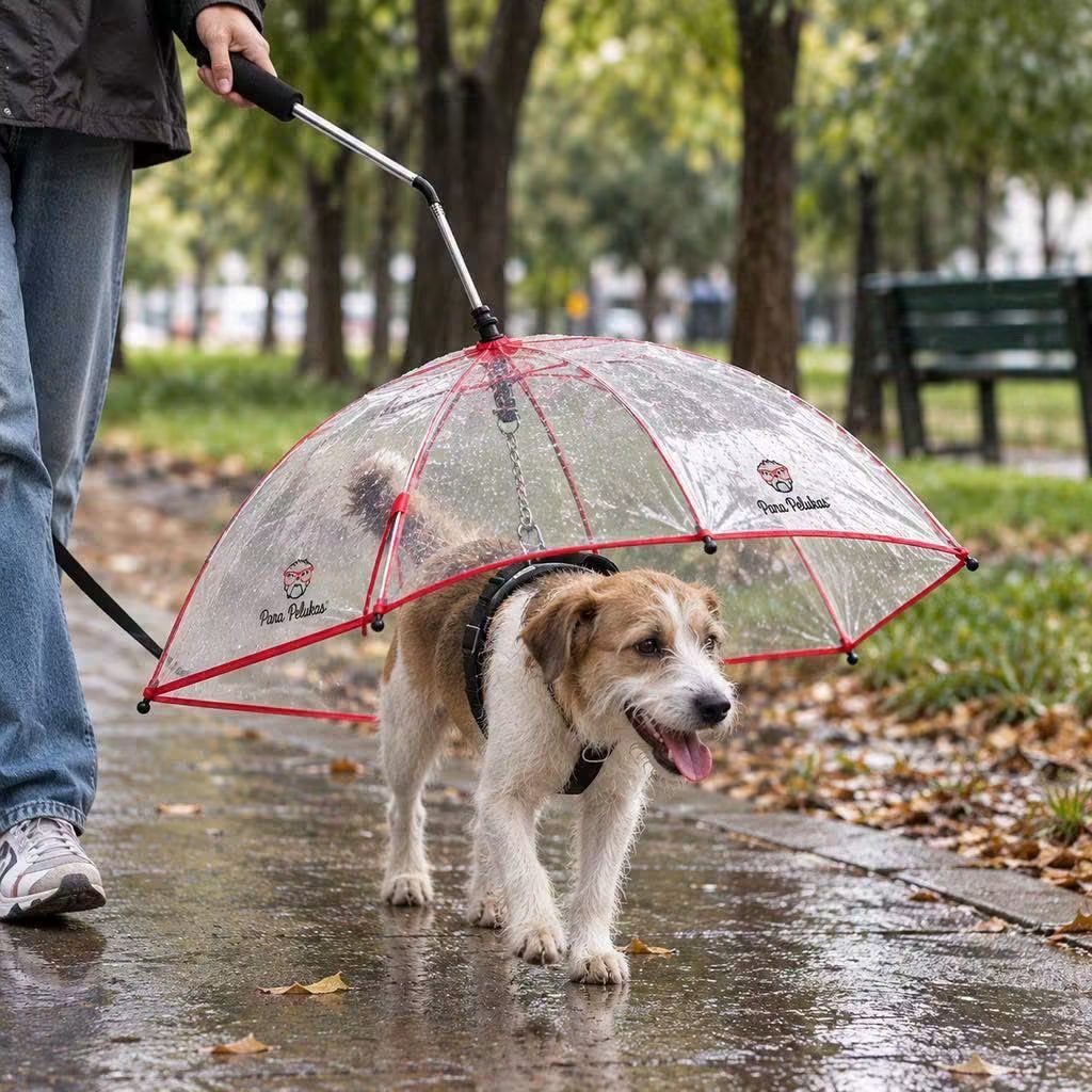 elcampito's tweet photo. ¡Los paseos no se suspenden por lluvia!

Miren lo que es este paraguas para perritos 😍 
Con él tu compañero sale sequito y feliz y vos ayudás 100% a los más de 350 camperitos rescatados. 

¿Querés el tuyo? ¡Envíos a todo el país!
👉🏻https://t.co/TgOdEicu0P https://t.co/njgZfaqtrR