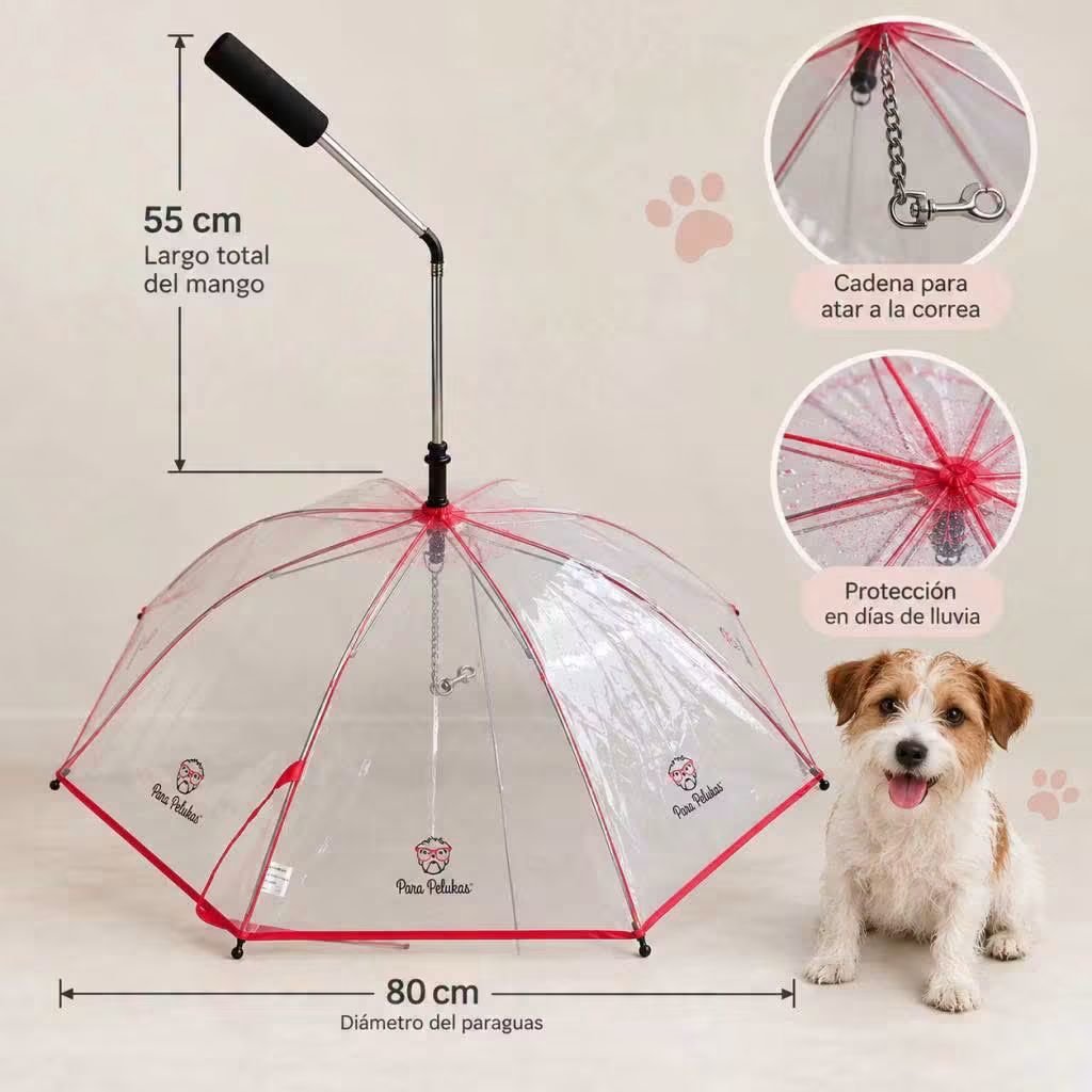 elcampito's tweet photo. ¡Los paseos no se suspenden por lluvia!

Miren lo que es este paraguas para perritos 😍 
Con él tu compañero sale sequito y feliz y vos ayudás 100% a los más de 350 camperitos rescatados. 

¿Querés el tuyo? ¡Envíos a todo el país!
👉🏻https://t.co/TgOdEicu0P https://t.co/njgZfaqtrR