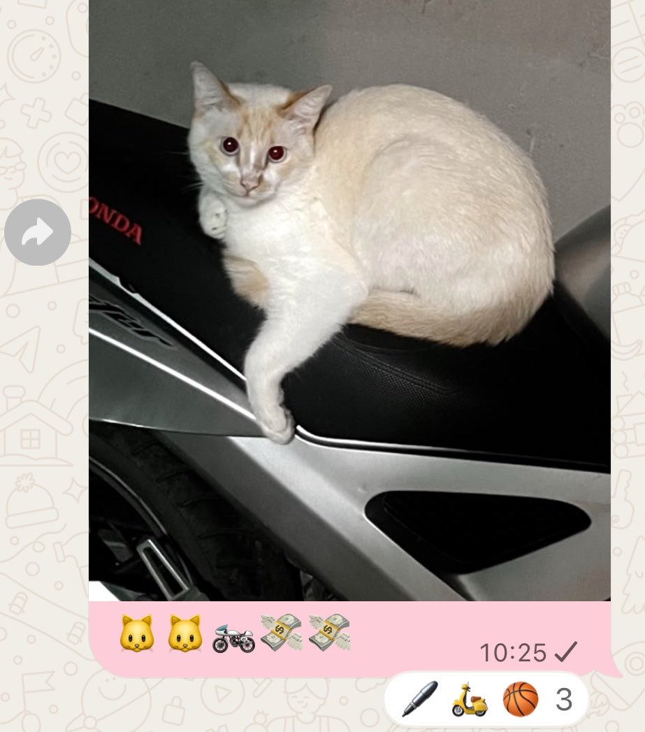 satanviado's tweet photo. @mymyamori com bola tambem.. https://t.co/6CWkgXAaxb