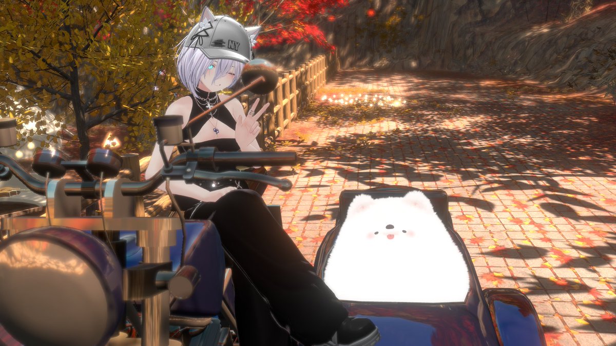 ryu_see99's tweet photo. キャンプ場行ってきた！
やはりもふもふには弱いようです
#Suiha3D https://t.co/AgdljXZ39g