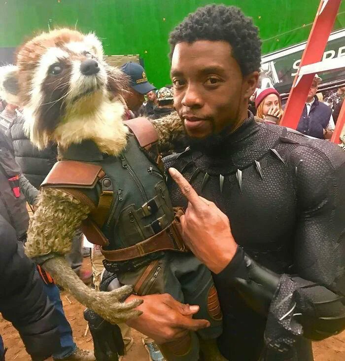 shots_mcu's tweet photo. Behind the scenes of Avengers Endgame with Chadwick Boseman and Rocket https://t.co/IGSx4CcWhD