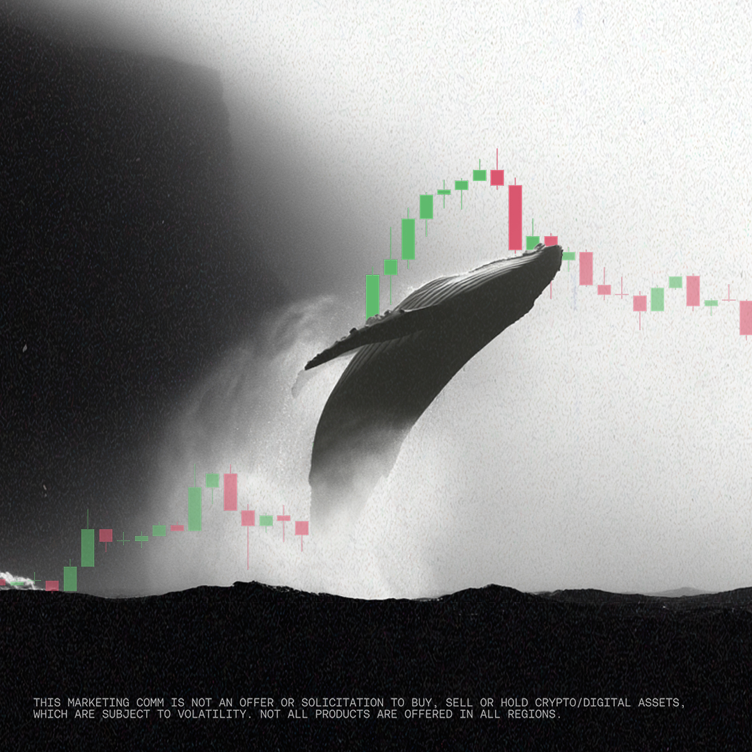okx's tweet photo. Be the whale. Not the bait. https://t.co/2eZklWQGW4