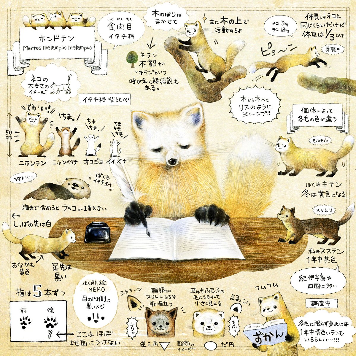 ForestStoryTime's tweet photo. きょうは #世界動物の日

希少な種も、今はそうでない種も

彼らが暮らしていける場所を大切にしたいな、と思います。

色んな種がいること。
もっと言えば、その種の中に 色んな子がワイワイといる事。

「色んな子がいる」という事は、
未来を生み出す大きな力になるから🌱 https://t.co/07VnsjieFI