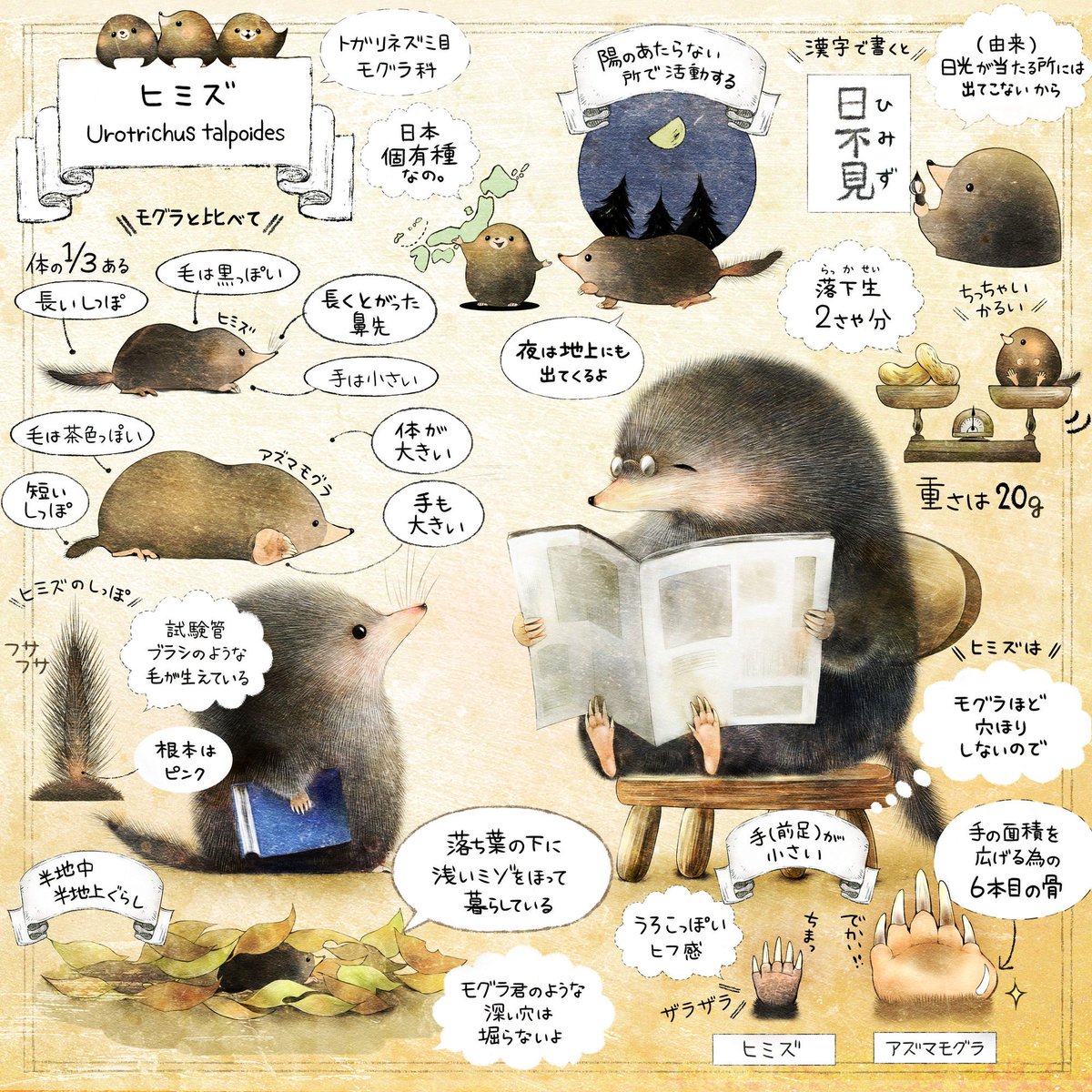 ForestStoryTime's tweet photo. きょうは #世界動物の日

希少な種も、今はそうでない種も

彼らが暮らしていける場所を大切にしたいな、と思います。

色んな種がいること。
もっと言えば、その種の中に 色んな子がワイワイといる事。

「色んな子がいる」という事は、
未来を生み出す大きな力になるから🌱 https://t.co/07VnsjieFI