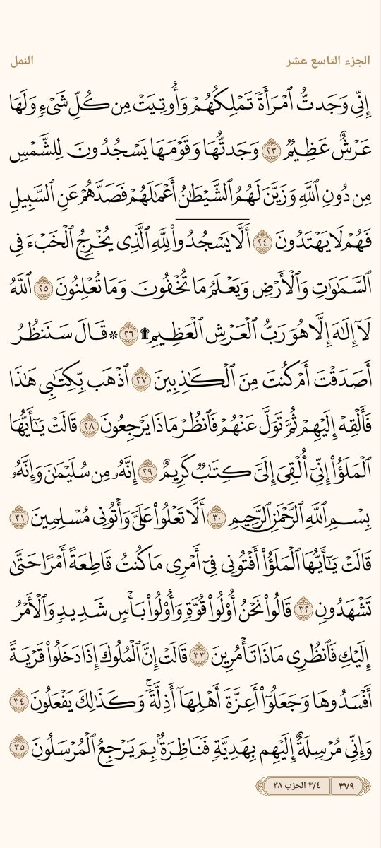 AlMosahf's tweet photo. ورد الثلاثاء https://t.co/XDY5t0wPuE