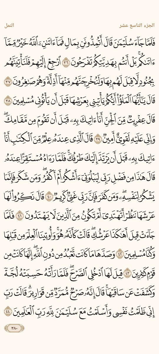 AlMosahf's tweet photo. ورد الثلاثاء https://t.co/XDY5t0wPuE