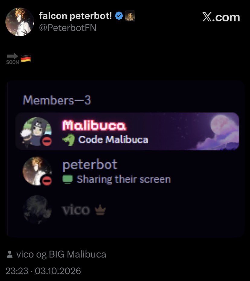 marcuzfn6's tweet photo. PETERBOT &amp; POLLO READY TO TAKE OVER EU 🫣 https://t.co/1rdqbYb3hK