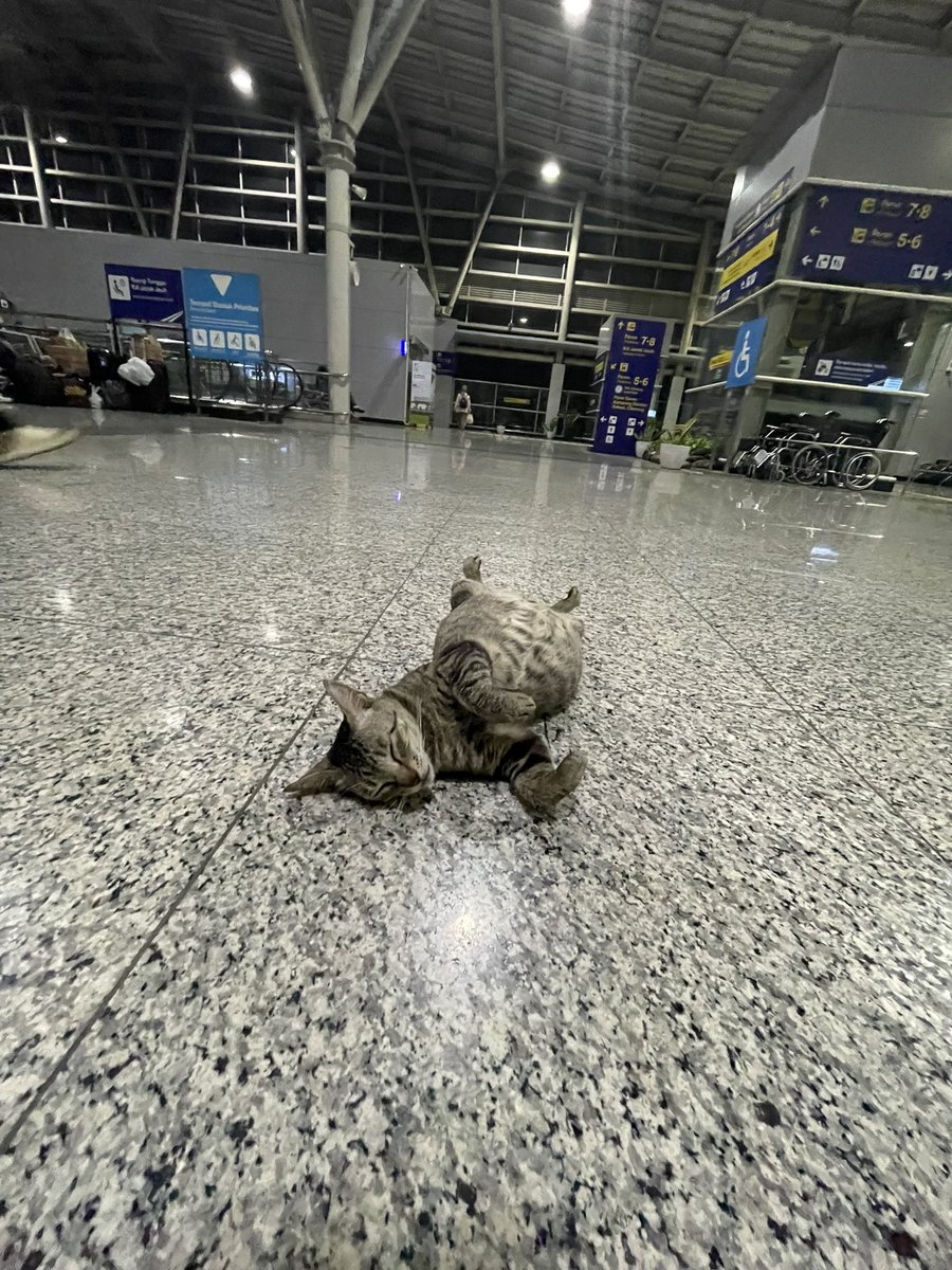 kachisuchi's tweet photo. Ini gimana sih, saya baru sampe jatinegara mau nanya toilet dimana, malah tidur petugasnya @KAI121 https://t.co/wwd2bWUJxh