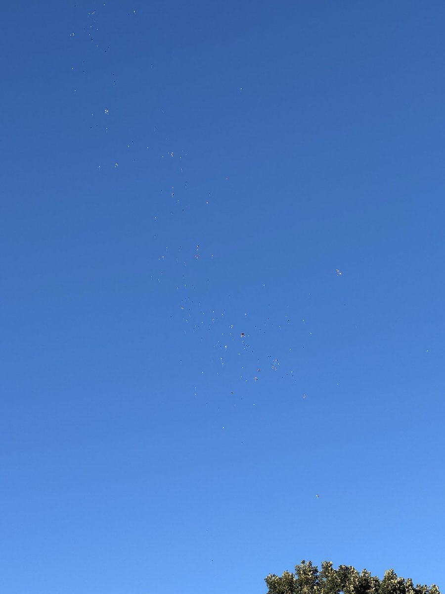 WokeWrekker's tweet photo. Did the blacks do another balloon release for a KIA in Rochester? https://t.co/G0NpoDs0J7